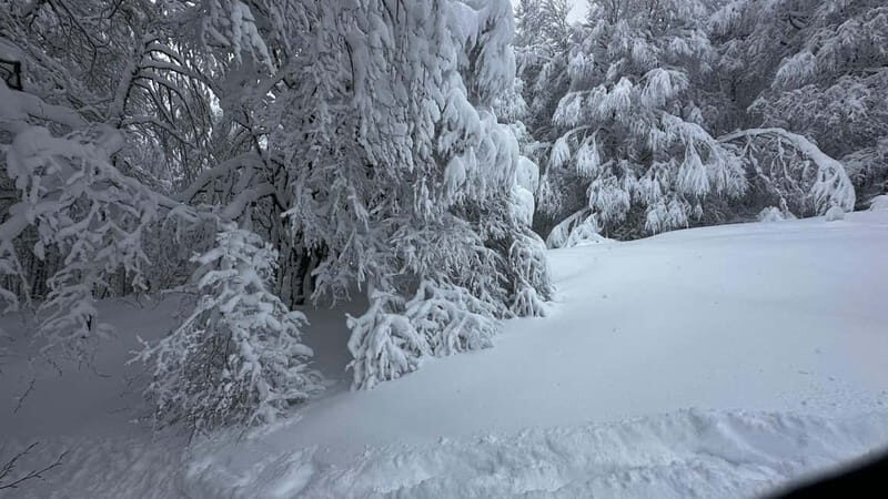SNOWSHOES - Snowshoeing in Nouvelle-Aquitaine: An Accessible Winter Escape