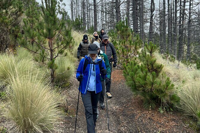 Snowy Colima Day Tour from Guadalajara - Key Points