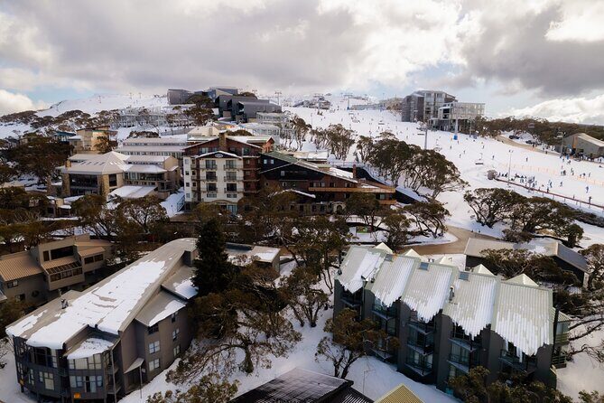 Snowy Escapes Tour Adventure in Mount Buller Alpine Australia - Who Will Love This Tour?
