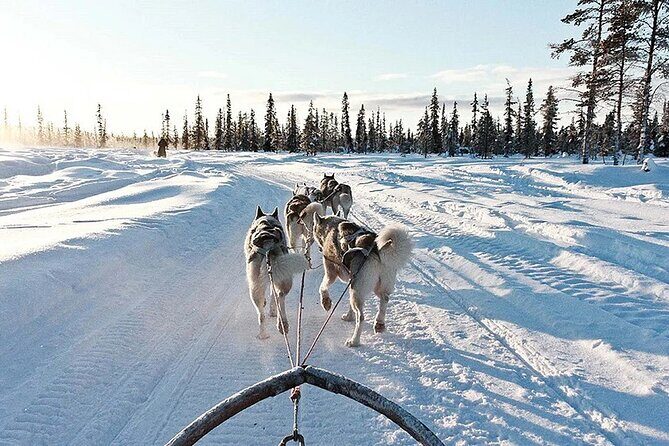 Snowy Trails 10km Husky Safari from Rovaniemi - FAQs