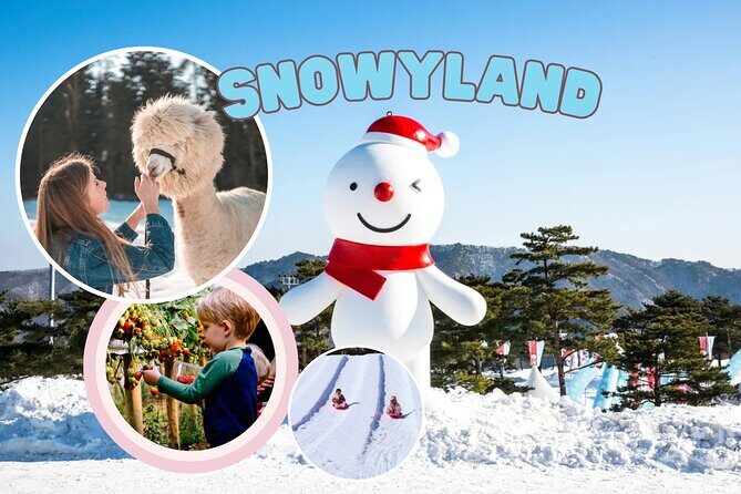 Snowyland, Strawberry Picking & Alpaca World - Key Points