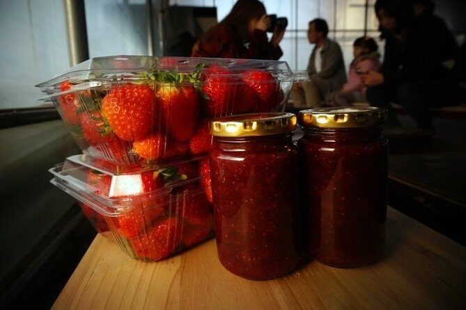 Snowyland, Strawberry Picking & Alpaca World - The Sum Up