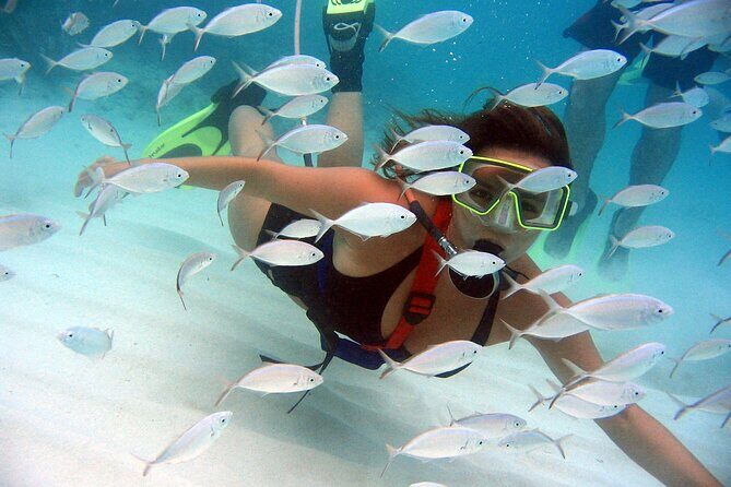 SNUBA Saint Lucia - Discover the Underwater World of Saint Lucia with SNUBA®