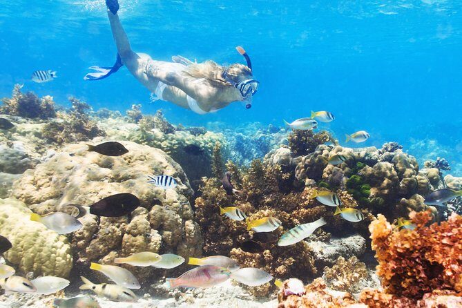 Snuba Snorkelking Parasailing and Catamaran Pack - A Practical Look at the Snuba Snorkelking Parasailing and Catamaran Pack in Punta Cana