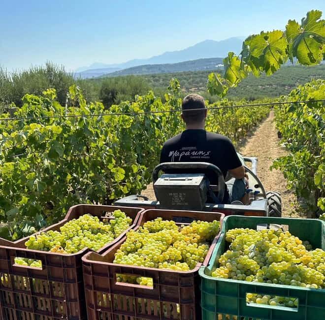 Soap, Wine, Raki, Olive Oil, Meet the local Producers Tour - A Deep Dive into the Experience