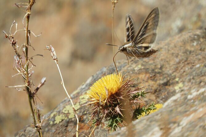 Soar like a bird over the Costa del Sol ecological tour with a natural spring - Price and Value