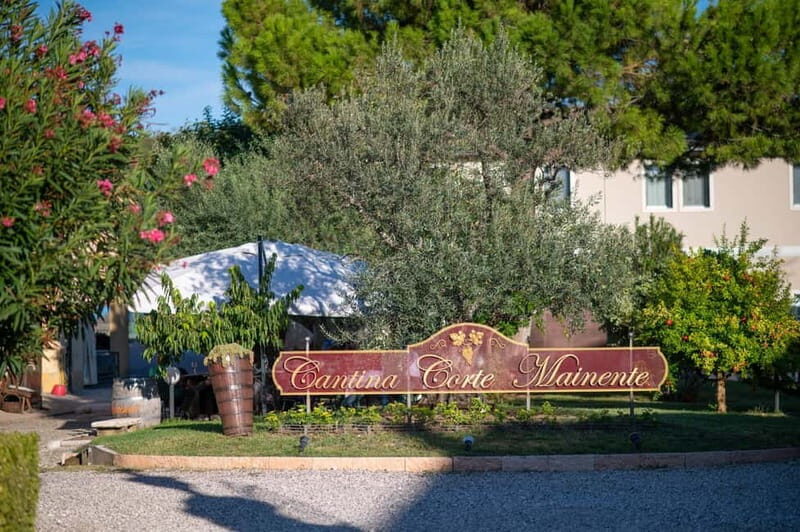Soave: Wine Tasting and Vineyard Tour in Historical Centre - Who Will Enjoy This Experience?