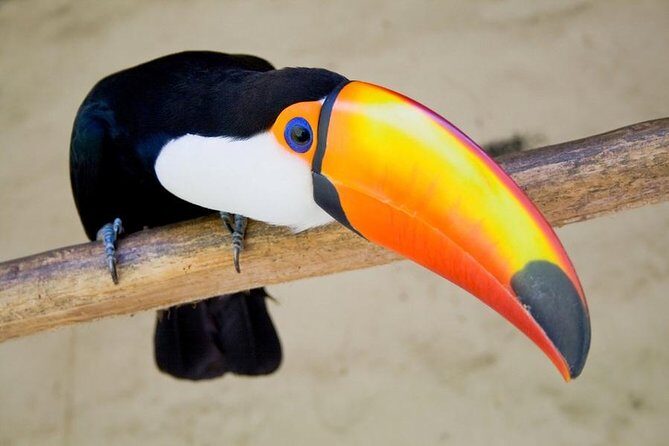 Soberania National Park Day Trip from Panama City - Exploring Soberanía National Park: A Practical Guide