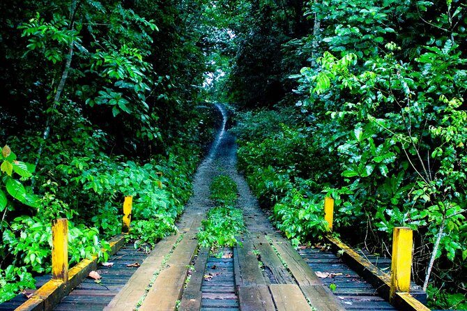 Soberania National Park Day Trip from Panama City - Frequently Asked Questions