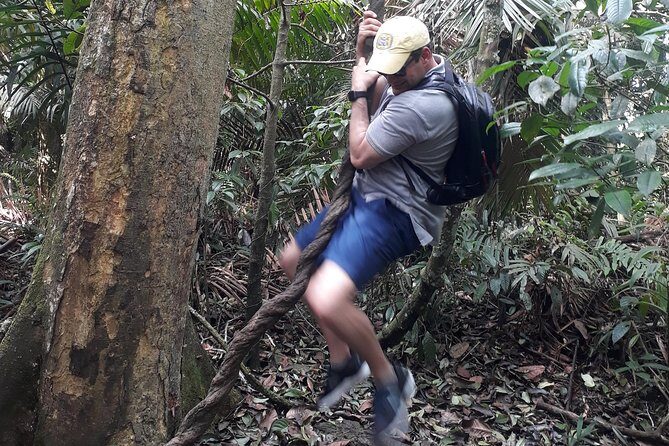 Soberania National Park Hike - Experience the Wild Heart of Panama: Soberania National Park Hike