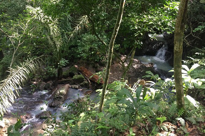 Soberania National Park Hike - Final Thoughts