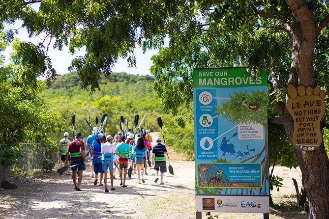 SoCoHo Eco Half Day - Mangrove Kayak & Reef Snorkeling - The Sum Up