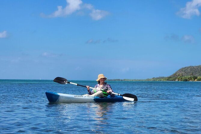 SoCoHo Eco Kayak and Snorkel Tour - Final Thoughts: Is the SoCoHo Eco Kayak and Snorkel Tour Worth It?