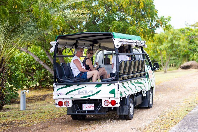 SoCoHo Jeep Safari - Historical Sites - Lunch - Beach - Who Should Consider This Tour?