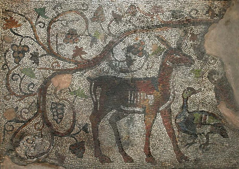 Sofia: Augusta Trayana - From Neolithic to Modern Times Tour - Exploring Bulgaria’s Past: A Day of Discoveries