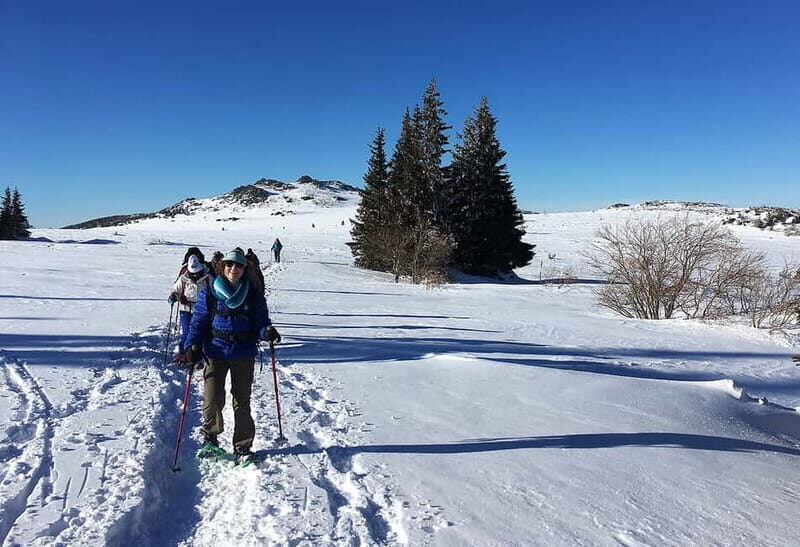 Sofia: Black Peak-Vitosha Mountain Snowshoeing Day Trip - Key Points