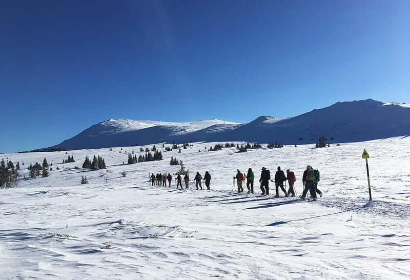 Sofia: Black Peak-Vitosha Mountain Snowshoeing Day Trip - A Detailed Look at the Snowshoeing Adventure