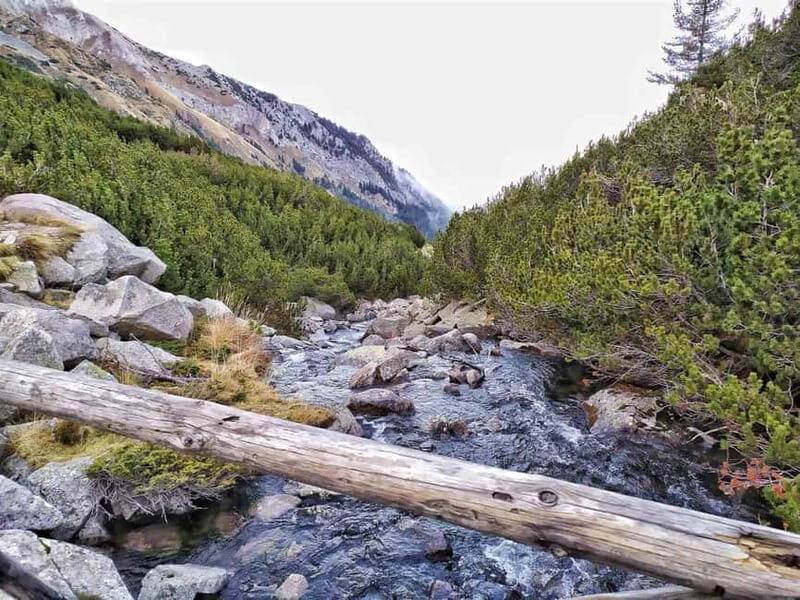 Sofia: Pirin National Park Hike & Bansko Visit - Exploring Bulgaria’s Natural and Cultural Gems in a Day