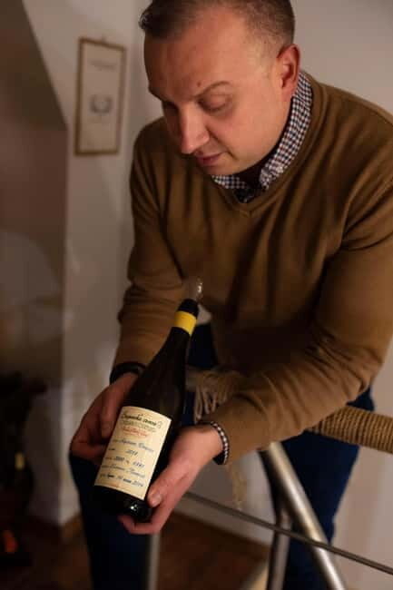 Sofia: Wine & Cheese Tasting Experience - Sofia: Wine & Cheese Tasting Experience