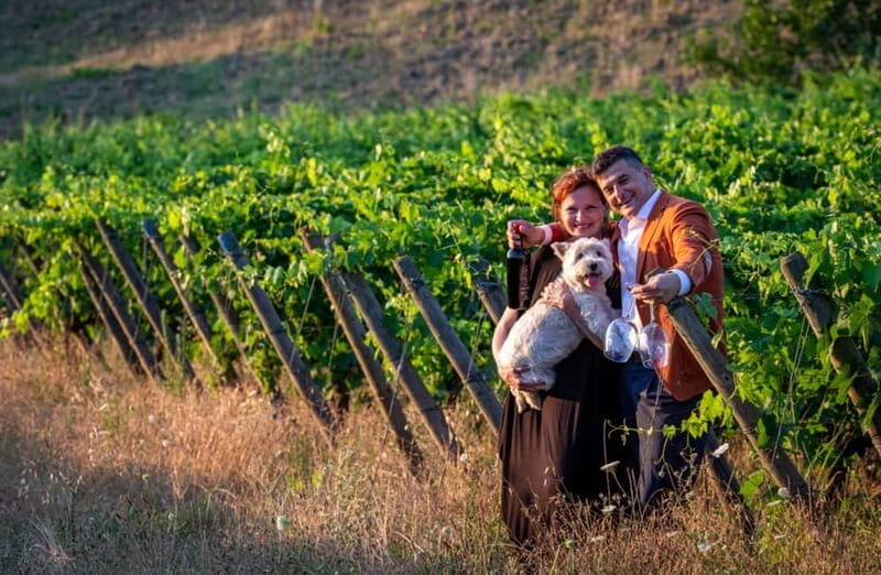 Soiana: Vineyard & Cellar Tour with Wine Tasting near Pisa - Discover Tuscany’s Flavors with a Vineyard & Cellar Tour Near Pisa
