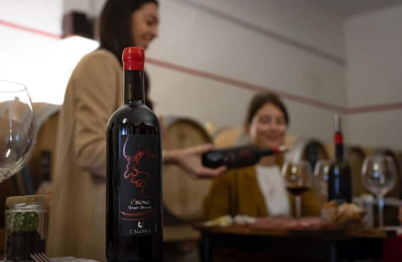Soiana: Vineyard & Cellar Tour with Wine Tasting near Pisa - Who Will Love This Tour?