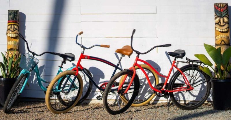 Solana Beach: Beach Cruiser Full-Day Bike Rental - In-Depth Look at the Experience