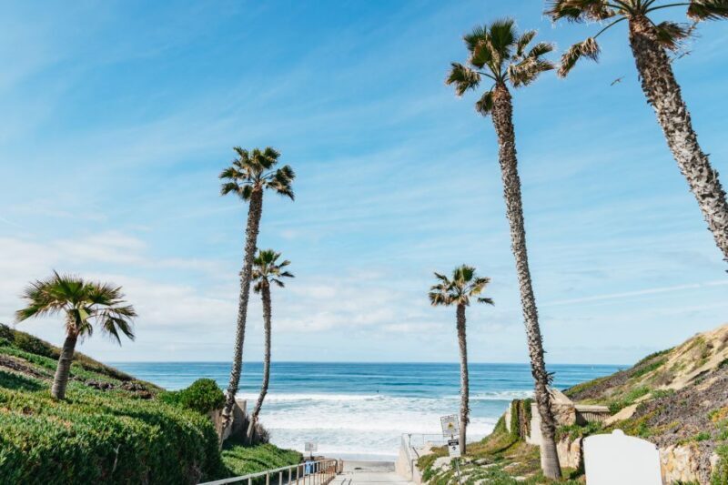 Solana Beach: Private Surf Lesson with Board and Wetsuit - Authentic Review Highlights