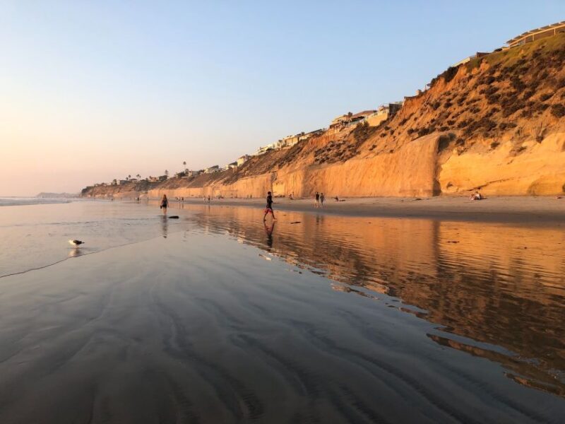 Solana Beach: Stand-up Paddle Board Rental - The Sum Up
