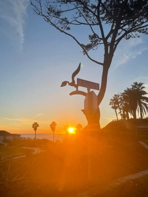 Solana Beach: Surfboard Rentals - Key Points