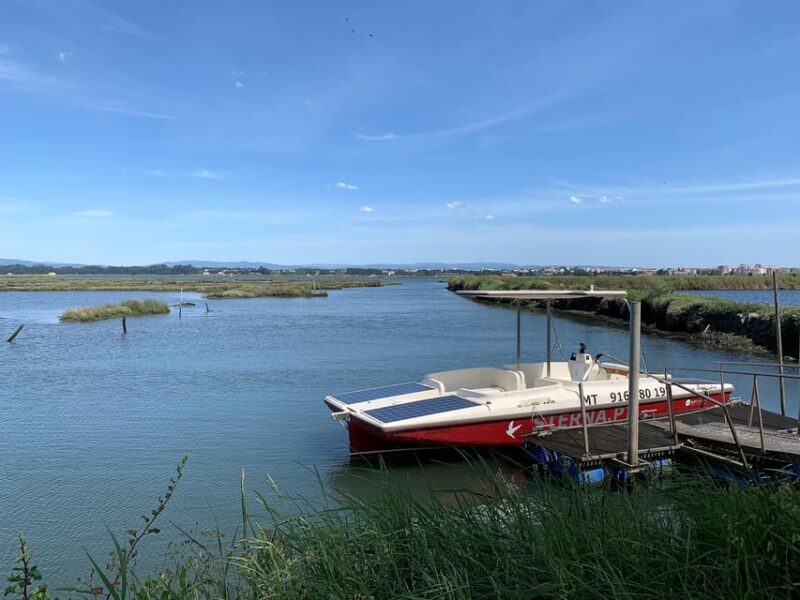 Solar Boat Tour along the Salgado da Ria de Aveiro - A Deep Dive into the Solar Boat Tour