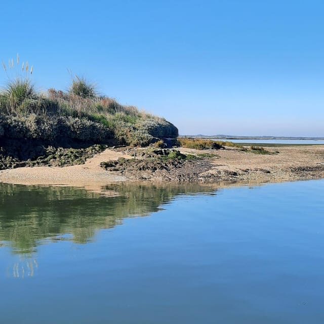 Solar Boat Tour along the Salgado da Ria de Aveiro - Final Thoughts