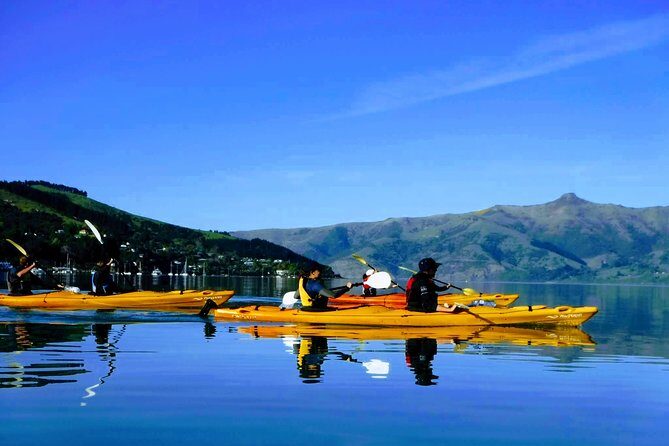 Solar Explorer in Akaroa - Sun-Viewing Tour with Telescopes - The Sum Up