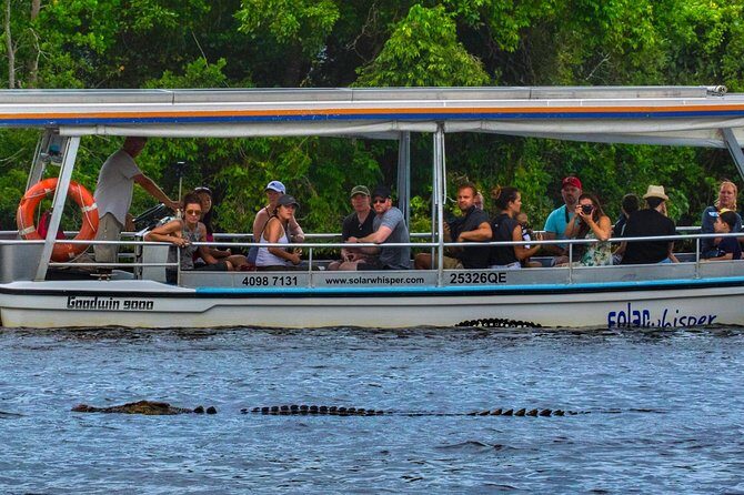 Solar Whisper Daintree River Crocodile and Wildlife Cruise - Daintree River Crocodile and Wildlife Cruise: A Quiet Adventure into Nature
