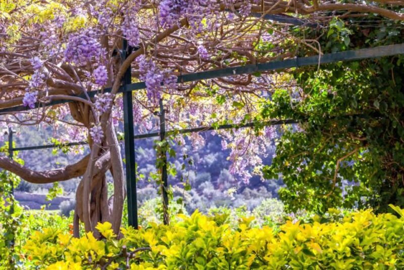Sóller: Jardines de Alfabia Entrance Ticket - FAQs