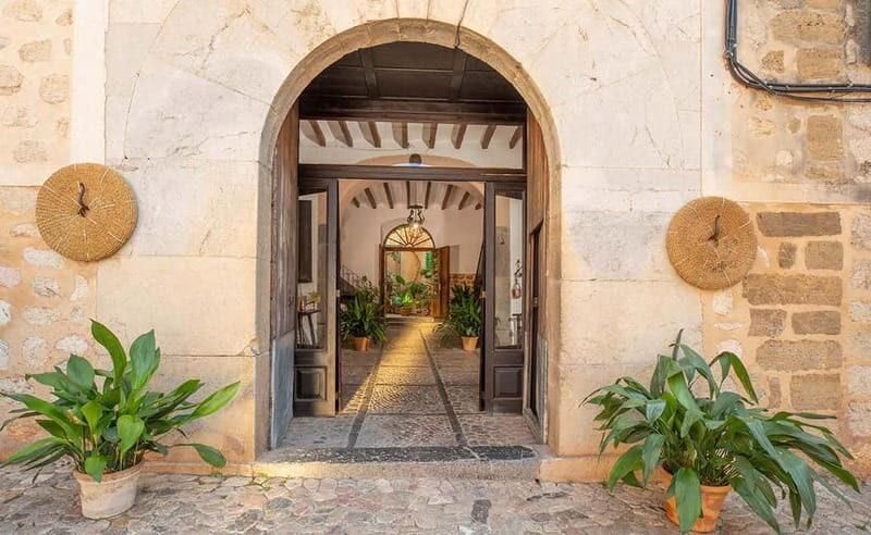 Sóller: Olive Oil Guided Tour and Tasting at Can Det Estate - Detailed Breakdown of the Experience