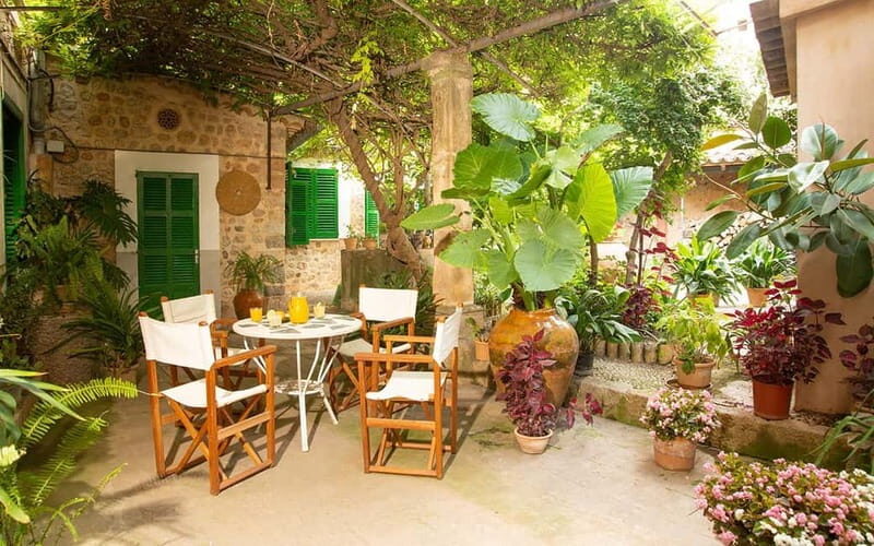 Sóller: Olive Oil Guided Tour and Tasting at Can Det Estate - Final Thoughts