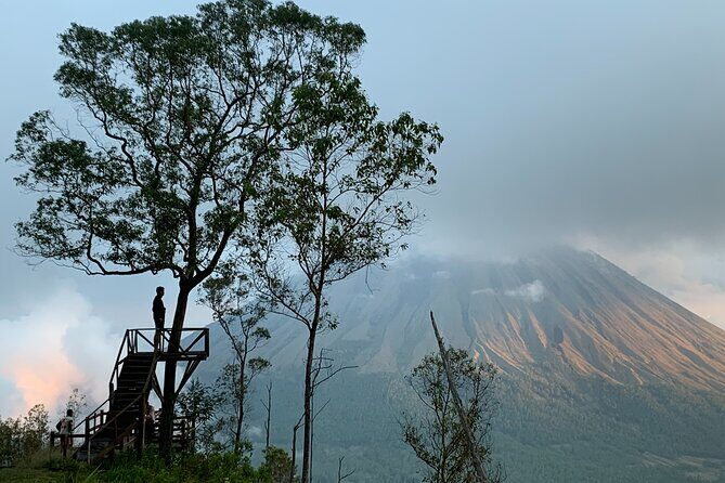 Solo Adventurer: your shared, all-inclusive tour across Flores! - Key Points