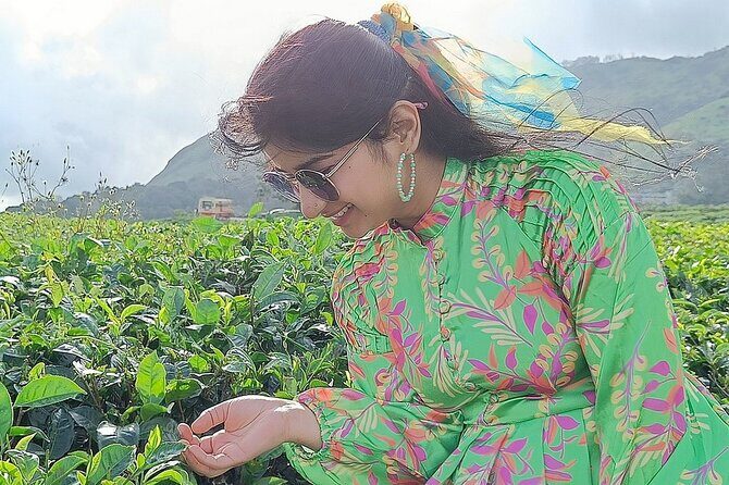 Solo Kerala Private Tour Package ( 5 Nights) - Munnar, Thekkady, Houseboat - Exploring the Kerala Experience: A Deep Dive