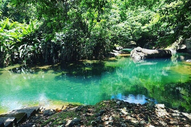 Soma Garden All Inclusive Tropical Fruit Farm Tour - Exploring the Soma Garden All-Inclusive Tropical Fruit Farm Tour in Dominica