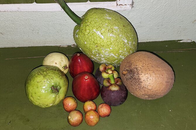 Soma Garden All Inclusive Tropical Fruit Farm Tour - FAQs