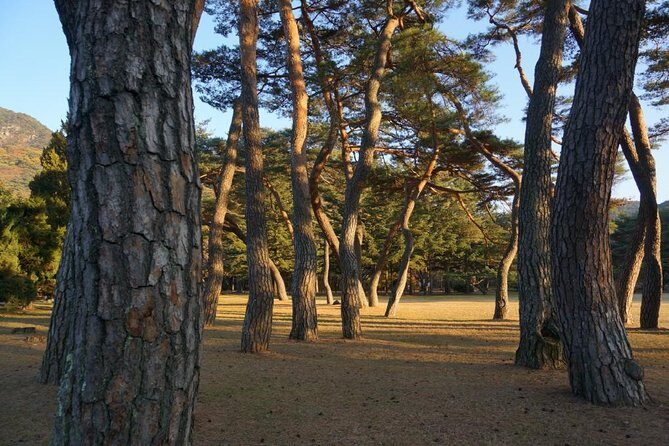 Songnisan National Park & Beopjusa Temple UNESCO site Private Tour - Detailed Review: Exploring Korea’s Spiritual and Natural Treasures