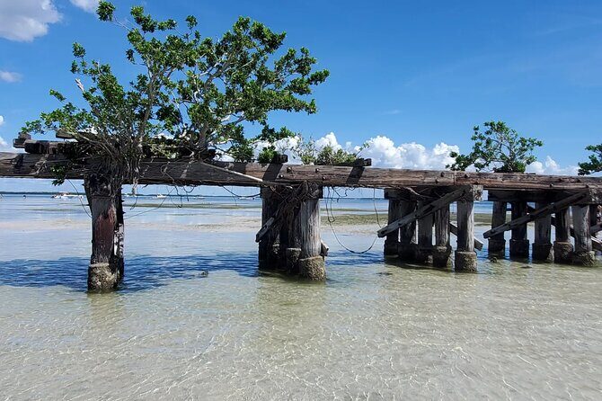 Sonnys Boat Tours Full Day Sand Bar Adventure Englewood, Florida - Final Thoughts