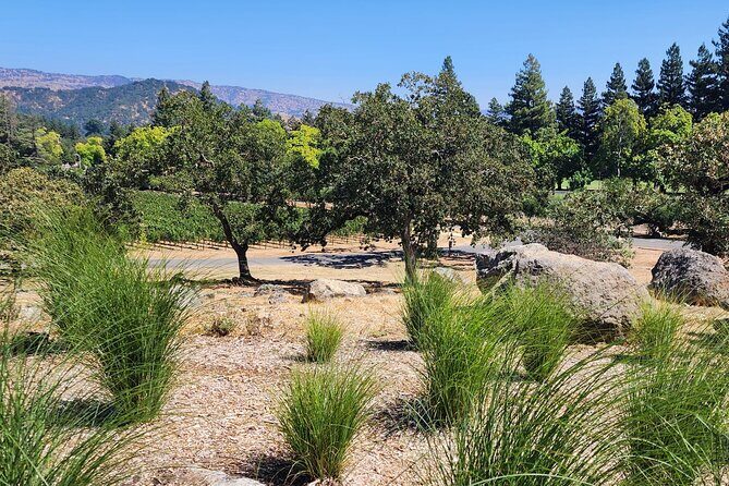 Sonoma and Napa Champagne Wine Private Tour Half Day - FAQ