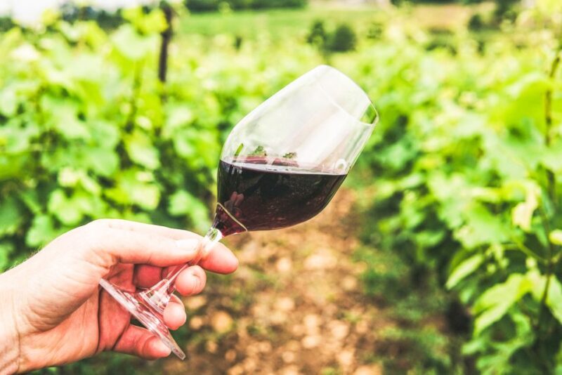 Sonoma County: Tasting Pass (Choose 1, 2, or 90 Days) - FAQ