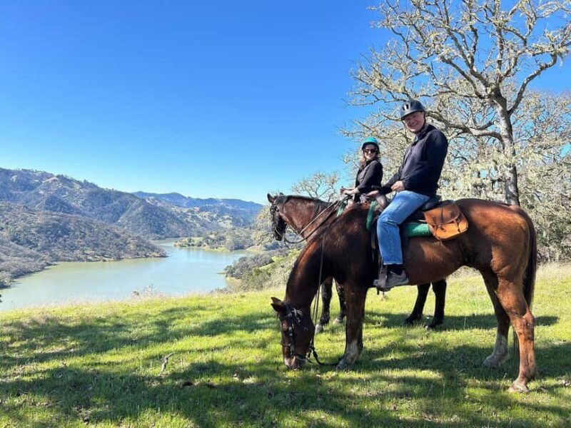 Sonoma County: Wine Country Horseback Riding Adventure - Authentic Reviews and Insights