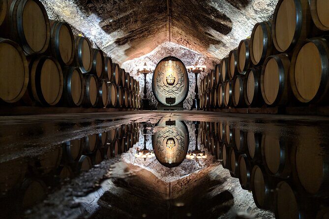 Sonoma County Wine Segway Tour - Who Should Consider This?