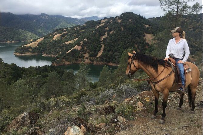 Sonoma Horseback-Riding Tour - A Scenic Ride through Sonoma’s Wine Country