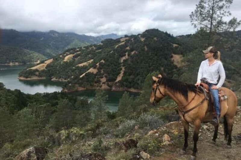 Sonoma: Horseback Riding Tour to Skaggs Vista Mountain - Key Points