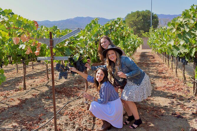 Sonoma Private 6-Hour Wine Adventure - Sonoma Private 6-Hour Wine Adventure — A Personal Touch in Wine Country