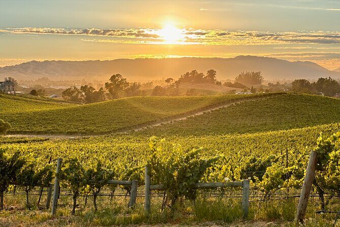 Sonoma Private 6-Hour Wine Adventure - Transportation and Comfort